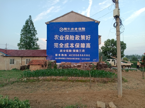 盐津墙体广告的优劣势你知道吗？