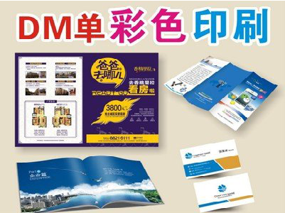 盐津单页印刷，色彩搭配简单。